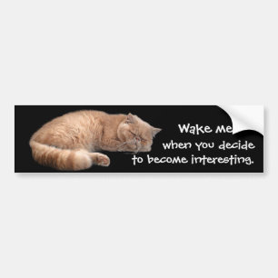 Slaapende Ginger Cat Funny Wake' Quote Bumpersticker