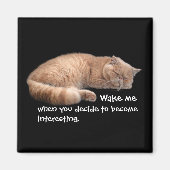 Slaapende Ginger Cat Funny Wake' Quote Magneet (Voorkant)