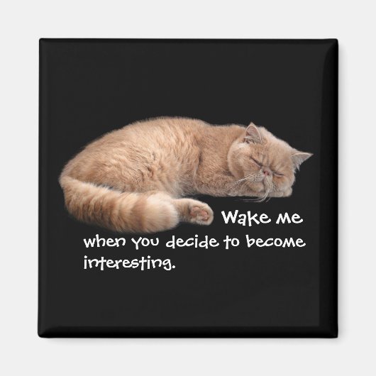Slaapende Ginger Cat Funny Wake' Quote Magneet (Voorkant)