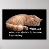 Slaapende Ginger Cat Funny Wake' Quote Poster (Voorkant)