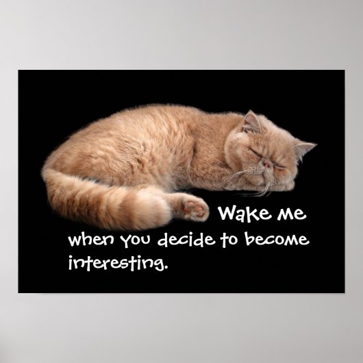 Slaapende Ginger Cat Funny Wake' Quote Poster (Voorkant)