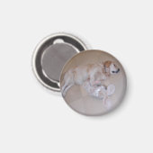 Slaapende Golden Retriever Magneet (Voorkant / Achterkant)