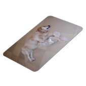 Slaapende Golden Retriever Magneet (Linkerzijde)