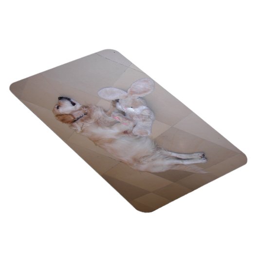 Slaapende Golden Retriever Magneet (Rechterzijde)