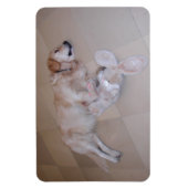 Slaapende Golden Retriever Magneet (Verticaal)