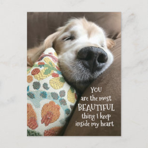 Slaapende Golden Retriever Mooie liefde Briefkaart