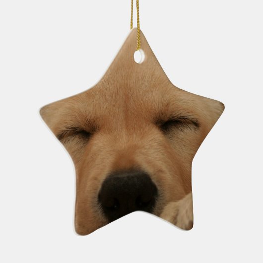 Slaapende Golden Retriever Ornament (Rechts)