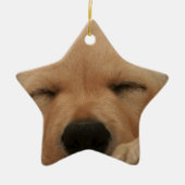Slaapende Golden Retriever Ornament (Voorkant)