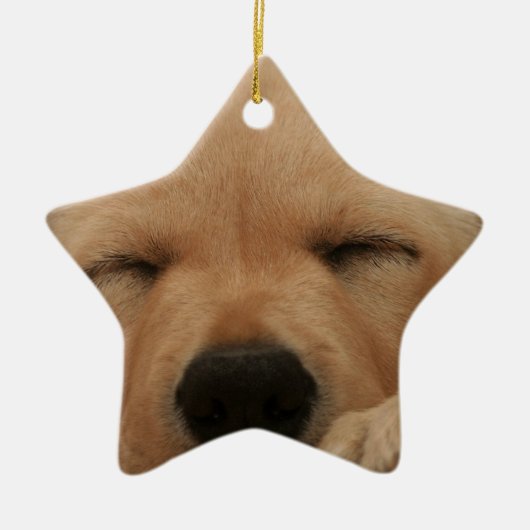 Slaapende Golden Retriever Ornament (Voorkant)