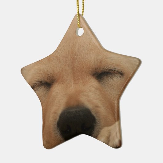 Slaapende Golden Retriever Ornament (Links)