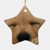 Slaapende Golden Retriever Ornament (Achterkant)