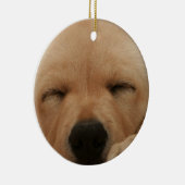 Slaapende Golden Retriever Ornament (Rechts)
