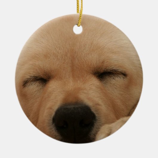 Slaapende Golden Retriever Ornament (Voorkant)