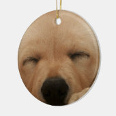 Slaapende Golden Retriever Ornament (Links)