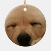 Slaapende Golden Retriever Ornament (Achterkant)