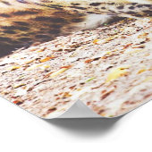 Slaapende hyena, wilde fotografie poster (Hoek)