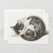 Slaapende illustratie briefkaart (Voorkant / Achterkant)