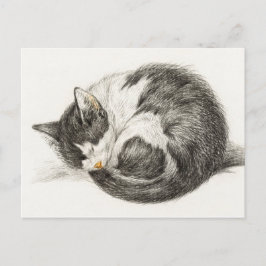 Slaapende  illustratie briefkaart