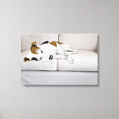 Slaapende Jack Russell Terrier Canvas Afdruk (Voorkant)
