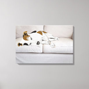 Slaapende Jack Russell Terrier Canvas Afdruk