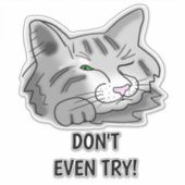Slaapende kat probeer het niet eens! sticker (Voorkant)