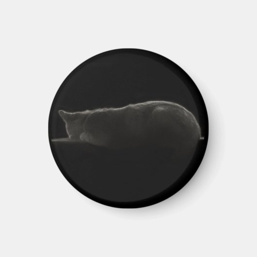 Slaapende kat Silhouette foto Magneet (Voorkant)