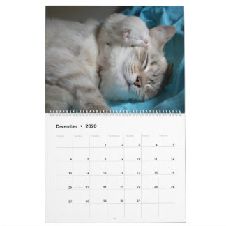 Slaapende katten en luiers Kat 2021 Kalender