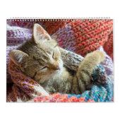 Slaapende katten en luiers Kat 2021 Kalender (Hoes)