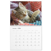 Slaapende katten en luiers Kat 2021 Kalender (Jan 2026)