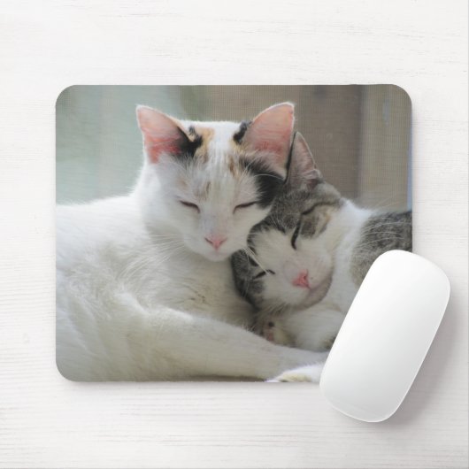 Slaapende katten Mousepad Muismat (Met muis)