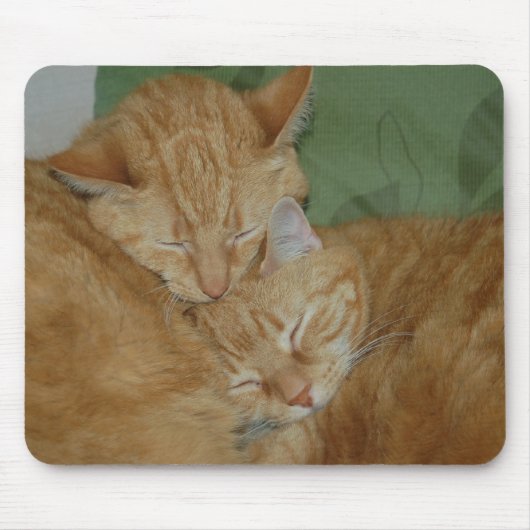 Slaapende katten Mousepad Muismat (Voorkant)