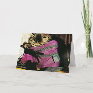 Slaapende keuten in paars, juffrouw je aan je eige kaart