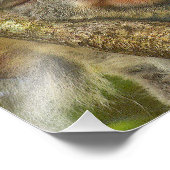 Slaapende Koala Beer Fotografie Uitbreiding Foto Afdruk (Hoek)