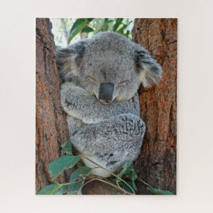 Slaapende Koala, Jigzaag Puzzle Legpuzzel