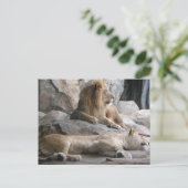 Slaapende lichtfoto briefkaart (Staand voorkant)