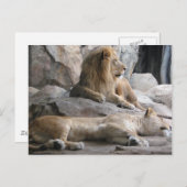 Slaapende lichtfoto briefkaart (Voorkant / Achterkant)