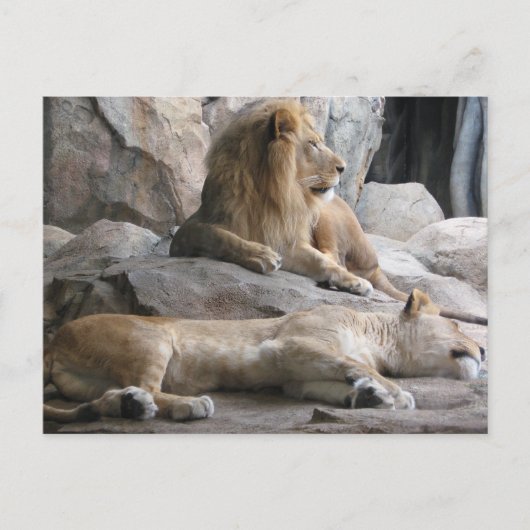 Slaapende lichtfoto briefkaart (Voorkant)