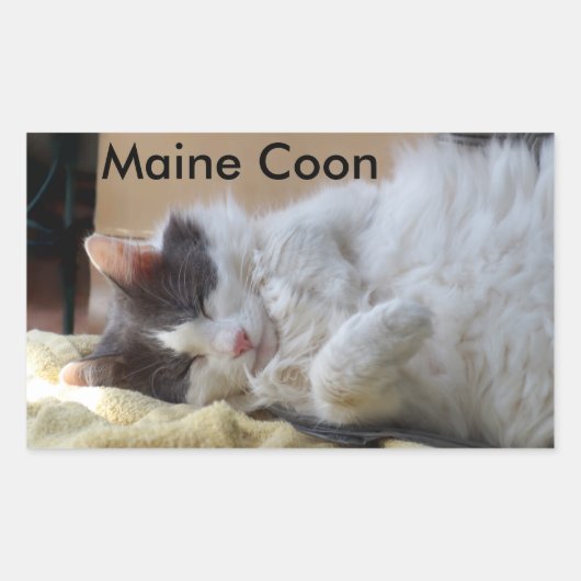 Slaapende Maine Coon Cat Sticker (Voorkant)