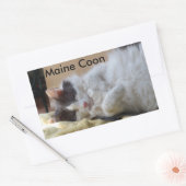Slaapende Maine Coon Cat Sticker (Envelop)
