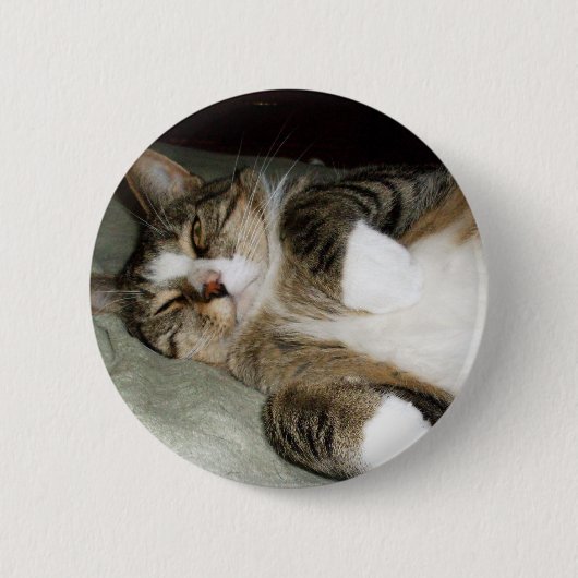 Slaapende Manx Kat Knop Ronde Button 5,7 Cm (Voorkant)