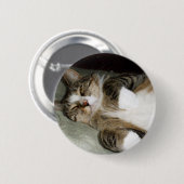 Slaapende Manx Kat Knop Ronde Button 5,7 Cm (Voorkant /achterkant)