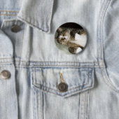 Slaapende Manx Kat Knop Ronde Button 5,7 Cm (In situ)