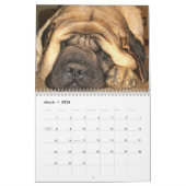 Slaapende Mastiff-agenda Kalender (Mar 2026)