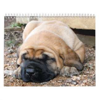 Slaapende Mastiff-agenda Kalender