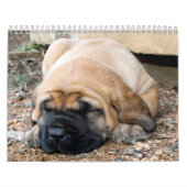 Slaapende Mastiff-agenda Kalender (Hoes)