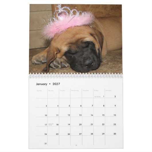 Slaapende Mastiff-agenda Kalender (Jan 2027)
