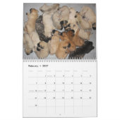Slaapende Mastiff-agenda Kalender (Feb 2027)