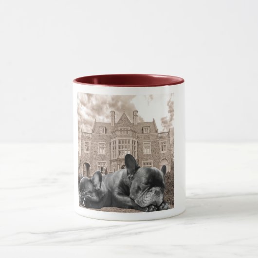 Slaapende Mok Franse Bulldogs (Midden)