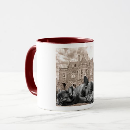 Slaapende Mok Franse Bulldogs (Voorkant links)