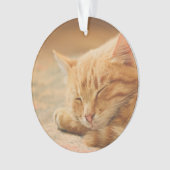 Slaapende Oranje tablet Ornament (voorkant)